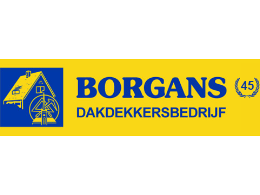 Logo Timmer- en Dakdekkersbedrijf Borgans en Zn. V.O.F.